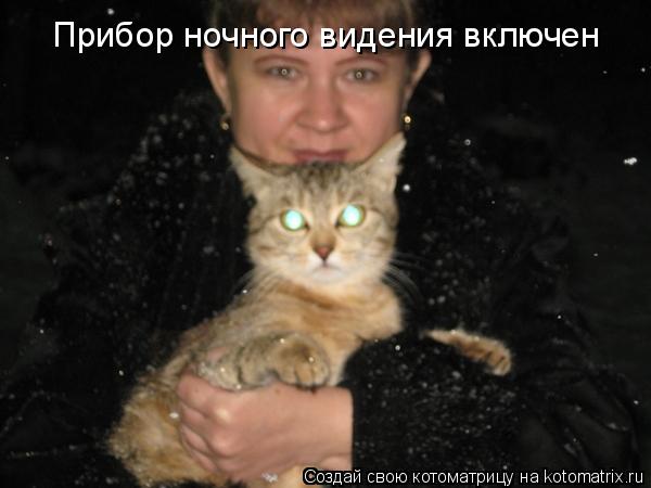 Прибор ночного видения включен... Котоматрица: Прибор ночного видения включен