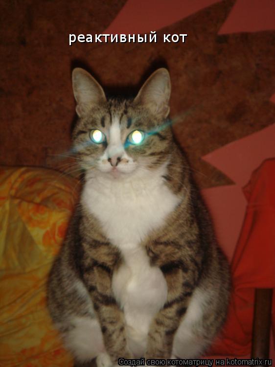 Котоматрица: реактивный кот