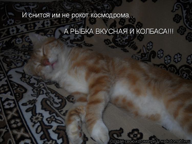 Котоматрица: И снится им не рокот космодрома... А РЫБКА ВКУСНАЯ И КОЛБАСА!!!