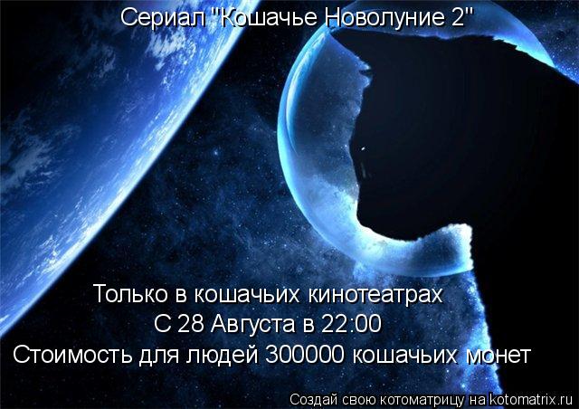 Котоматрица: Сериал "Кошачье Новолуние 2" Только в кошачьих кинотеатрах С 28 Августа в 22:00 Стоимость для людей 300000 кошачьих монет