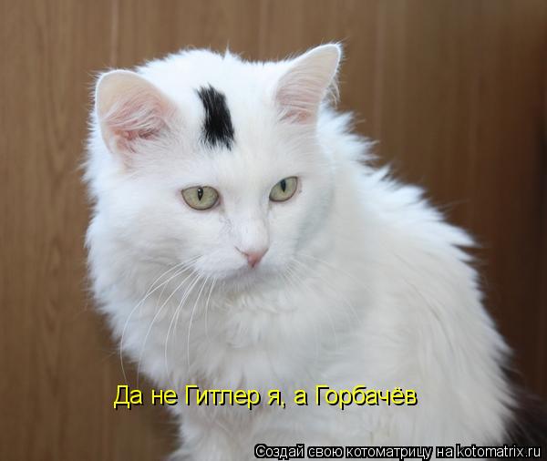 Котоматрица: Да не Гитлер я, а Горбачёв