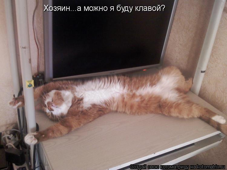 Котоматрица: Хозяин...а можно я буду клавой?