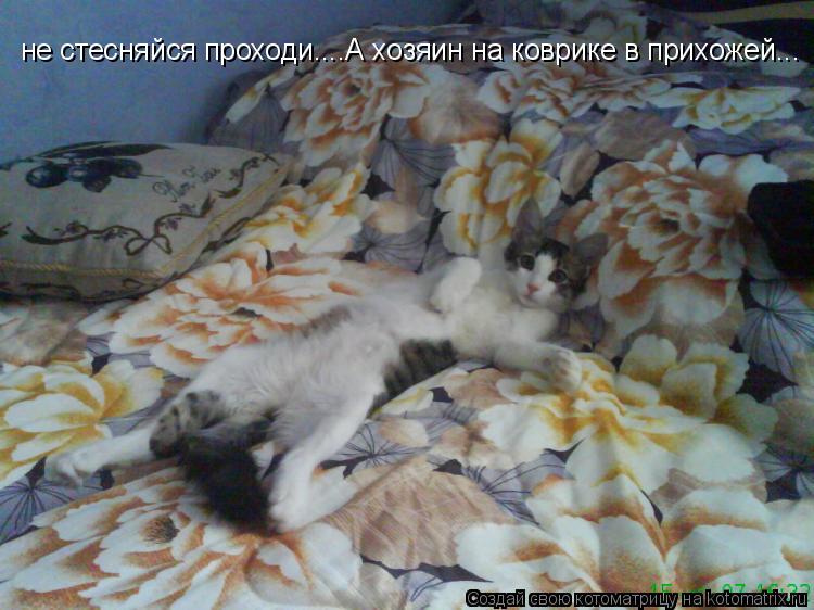 Котоматрица: не стесняйся проходи....А хозяин на коврике в прихожей...