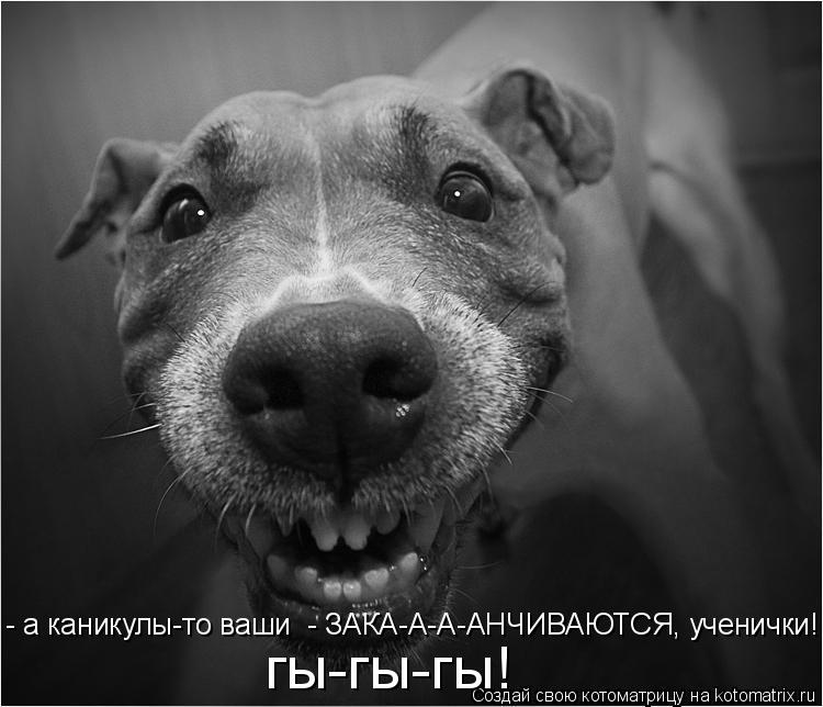 - а каникулы-то ваши - ЗАКА-А-А-АНЧИВАЮТСЯ, ученички! гы-гы-гы! гы-гы-гы!... Котоматрица: - а каникулы-то ваши - ЗАКА-А-А-АНЧИВАЮТСЯ, ученички! гы-гы-гы! гы-гы-гы!