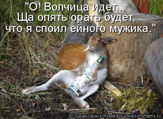 "О! Волчица идет... Ща опять орать будет, что я споил ейного мужика."... Котоматрица: "О! Волчица идет... Ща опять орать будет, что я споил ейного мужика."