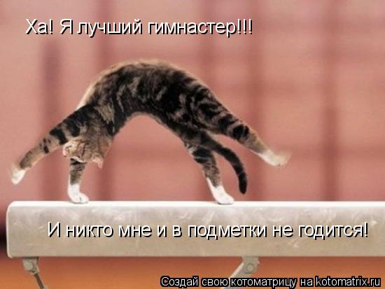 Ха! Я лучший гимнастер!!! И никто мне и в подметки не годится!... Котоматрица: Ха! Я лучший гимнастер!!! И никто мне и в подметки не годится!
