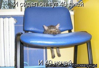 И сидел он тут 40 дней И 40 ночей...... Котоматрица: И сидел он тут 40 дней И 40 ночей...
