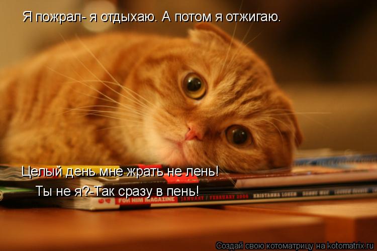 Я пожрал- я отдыхаю. А потом я отжигаю. Целый день мне жрать не лень! Ты не я?-Так сразу в пень!... Котоматрица: Я пожрал- я отдыхаю. А потом я отжигаю. Целый день мне жрать не лень! Ты не я?-Так сразу в пень!