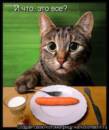 И что, это все?..... Котоматрица: И что, это все?..