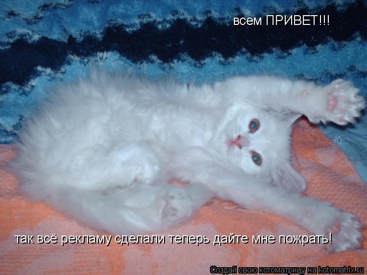 всем ПРИВЕТ!!! так всё рекламу сделали теперь дайте мне пожрать!... Котоматрица: всем ПРИВЕТ!!! так всё рекламу сделали теперь дайте мне пожрать!
