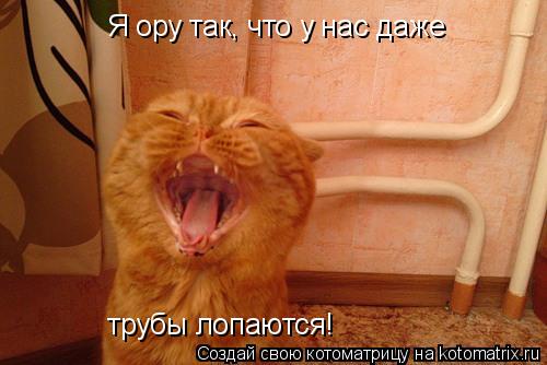 Я ору так, что у нас даже трубы лопаются!... Котоматрица: Я ору так, что у нас даже трубы лопаются!