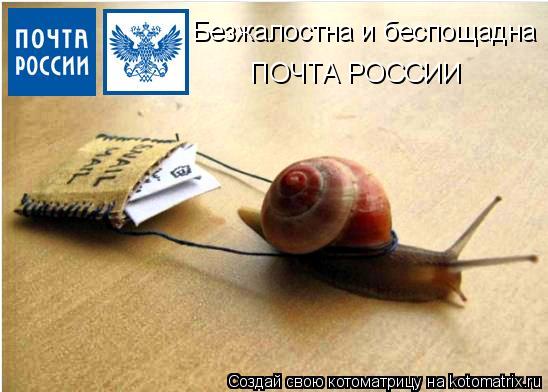 Безжалостна и беспощадна ПОЧТА РОССИИ... Котоматрица: Безжалостна и беспощадна ПОЧТА РОССИИ