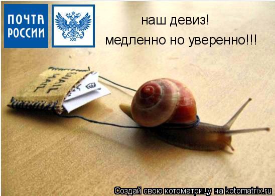 медленно но уверенно!!! наш девиз!... Котоматрица: медленно но уверенно!!! наш девиз!