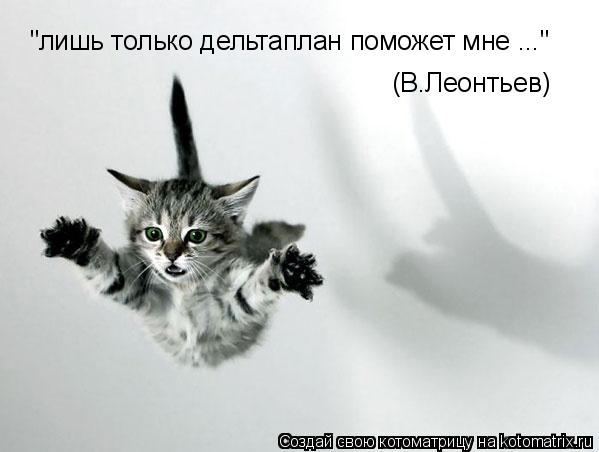 "лишь только дельтаплан поможет мне ..." (В.Леонтьев)... Котоматрица: "лишь только дельтаплан поможет мне ..." (В.Леонтьев)