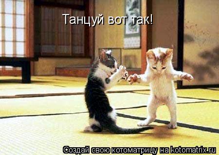 Танцуй вот так!... Котоматрица: Танцуй вот так!