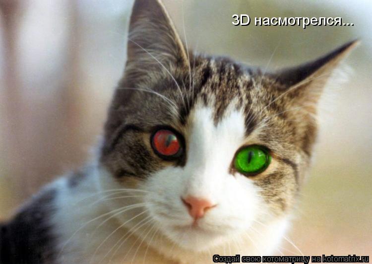 3D насмотрелся...... Котоматрица: 3D насмотрелся...
