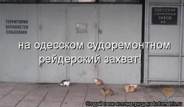 на одесском судоремонтном рейдерский захват!... Котоматрица: на одесском судоремонтном рейдерский захват!