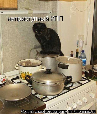 неприступный КПП... Котоматрица: неприступный КПП