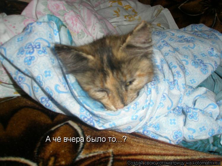 А чё вчера было то...?... Котоматрица: А чё вчера было то...?