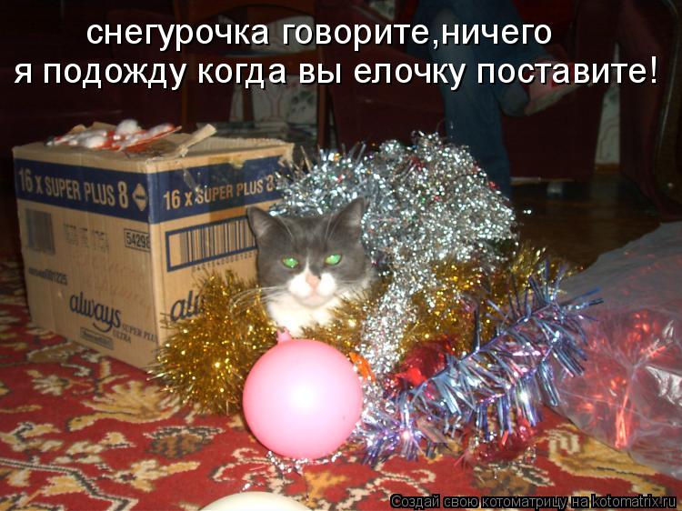 я подожду когда вы елочку поставите! снегурочка говорите,ничего... Котоматрица: я подожду когда вы елочку поставите! снегурочка говорите,ничего