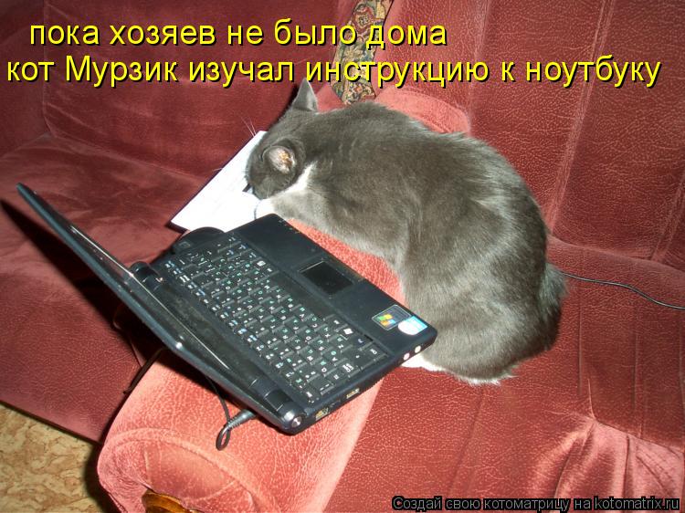 пока хозяев не было дома кот Мурзик изучал инструкцию к ноутбуку... Котоматрица: пока хозяев не было дома кот Мурзик изучал инструкцию к ноутбуку