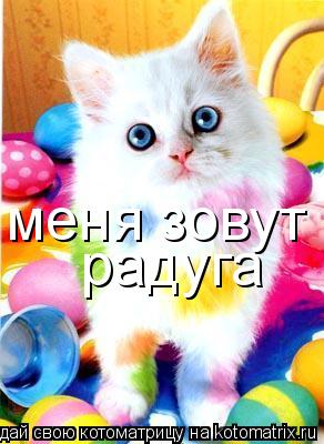 радуга меня зовут... Котоматрица: радуга меня зовут