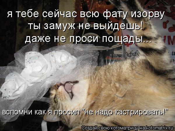 я тебе сейчас всю фату изорву ты замуж не выйдешь! даже не проси пощады... вспомни как я просил "не н... Котоматрица: я тебе сейчас всю фату изорву ты замуж не выйдешь! даже не проси пощады... вспомни как я просил "не надо кастрировать!"