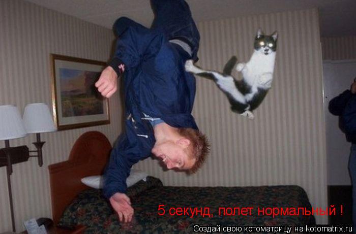5 секунд, полет нормальный !... Котоматрица: 5 секунд, полет нормальный !