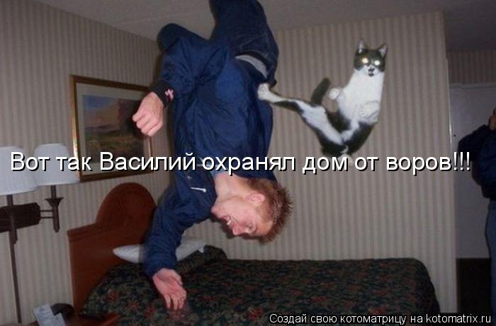 Вот так Василий охранял дом от воров!!!... Котоматрица: Вот так Василий охранял дом от воров!!!
