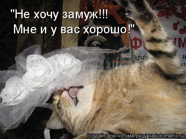 "Не хочу замуж!!! Мне и у вас хорошо!"... Котоматрица: "Не хочу замуж!!! Мне и у вас хорошо!"