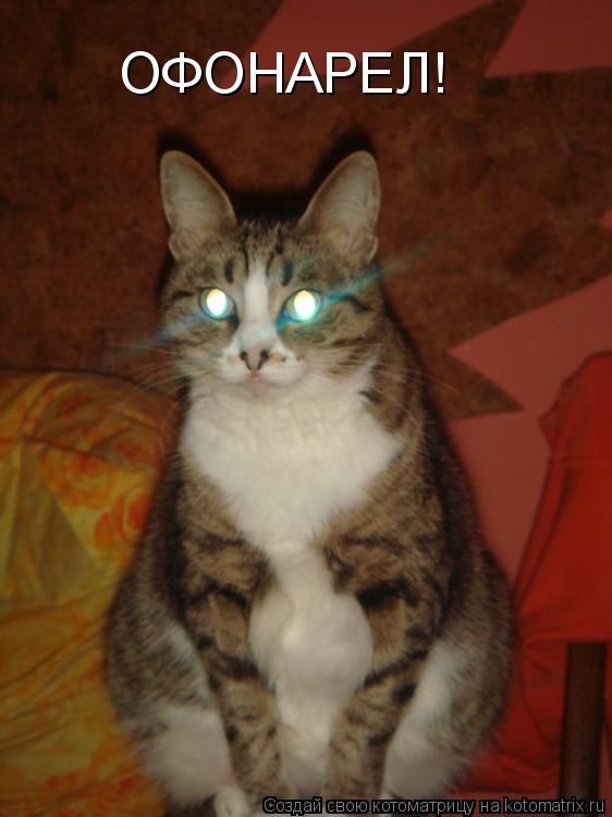 ОФОНАРЕЛ!... Котоматрица: ОФОНАРЕЛ!
