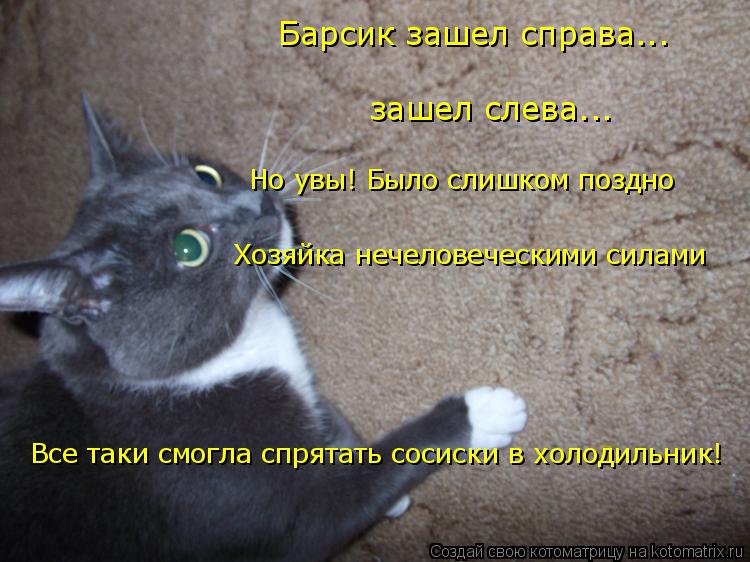Барсик зашел справа... зашел слева... Но увы! Было слишком поздно Хозяйка нечеловеческими силами Все... Котоматрица: Барсик зашел справа... зашел слева... Но увы! Было слишком поздно Хозяйка нечеловеческими силами Все таки смогла спрятать сосиски в холодиль