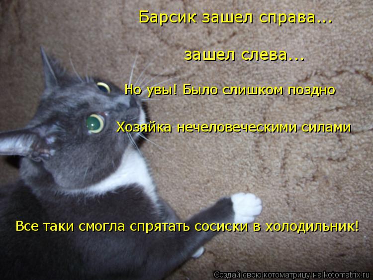 Котоматрица: Барсик зашел справа...  зашел слева... Но увы! Было слишком поздно Хозяйка нечеловеческими силами Все таки смогла спрятать сосиски в холодиль