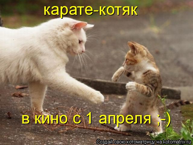 карате-котяк в кино с 1 апреля ;-)... Котоматрица: карате-котяк в кино с 1 апреля ;-)