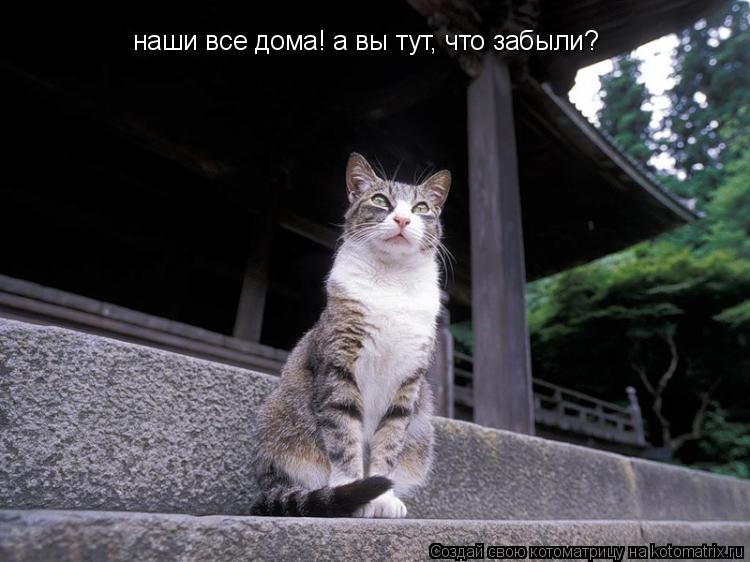 наши все дома! а вы тут, что забыли?... Котоматрица: наши все дома! а вы тут, что забыли?