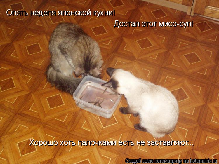 Опять неделя японской кухни! Достал этот мисо-суп! Хорошо хоть палочками есть не заставляют...... Котоматрица: Опять неделя японской кухни! Достал этот мисо-суп! Хорошо хоть палочками есть не заставляют...