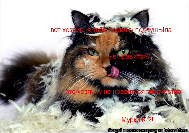 вот хозяин, я тебе перинку подпушЫла не нравится? это хозяину не нравиться творчество Мурки К.?!... Котоматрица: вот хозяин, я тебе перинку подпушЫла не нравится? это хозяину не нравиться творчество Мурки К.?!