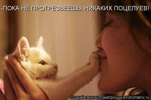 -ПОКА НЕ ПРОТРЕЗВЕЕШЬ, НИКАКИХ ПОЦЕЛУЕВ!... Котоматрица: -ПОКА НЕ ПРОТРЕЗВЕЕШЬ, НИКАКИХ ПОЦЕЛУЕВ!