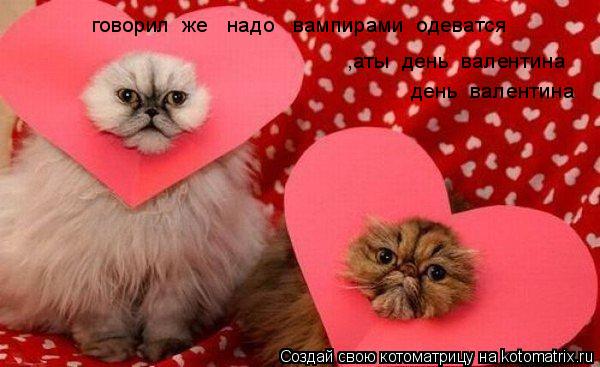 говорил же надо вампирами одеватся ,аты день валентина день валентина... Котоматрица: говорил же надо вампирами одеватся ,аты день валентина день валентина