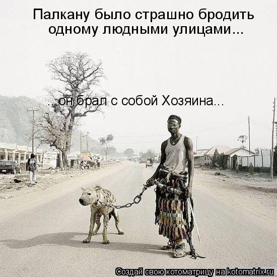 Палкану было страшно бродить одному людными улицами... ...он брал с собой Хозяина...... Котоматрица: Палкану было страшно бродить одному людными улицами... ...он брал с собой Хозяина...
