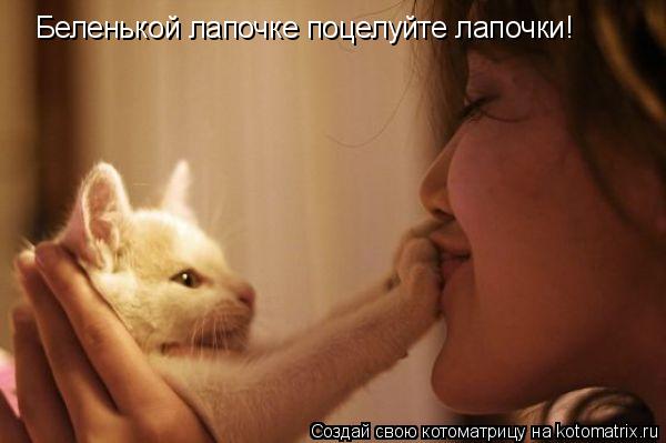 Беленькой лапочке поцелуйте лапочки!... Котоматрица: Беленькой лапочке поцелуйте лапочки!