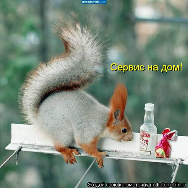 Сервис на дом!... Котоматрица: Сервис на дом!
