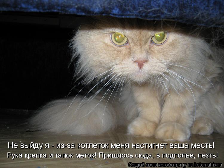 Не выйду я - из-за котлеток меня настигнет ваша месть! Рука крепка и тапок меток! Пришлось сюда, в по... Котоматрица: Не выйду я - из-за котлеток меня настигнет ваша месть! Рука крепка и тапок меток! Пришлось сюда, в подполье, лезть!