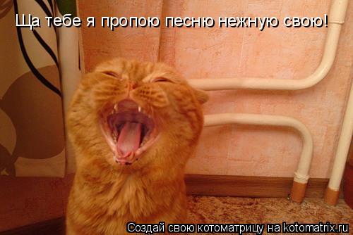 Ща тебе я пропою песню нежную свою!... Котоматрица: Ща тебе я пропою песню нежную свою!