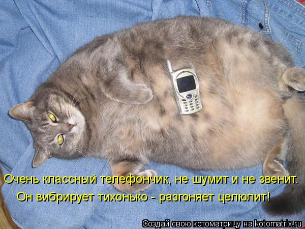 Очень классный телефончик, не шумит и не звенит. Он вибрирует тихонько - разгоняет целюлит!... Котоматрица: Очень классный телефончик, не шумит и не звенит. Он вибрирует тихонько - разгоняет целюлит!