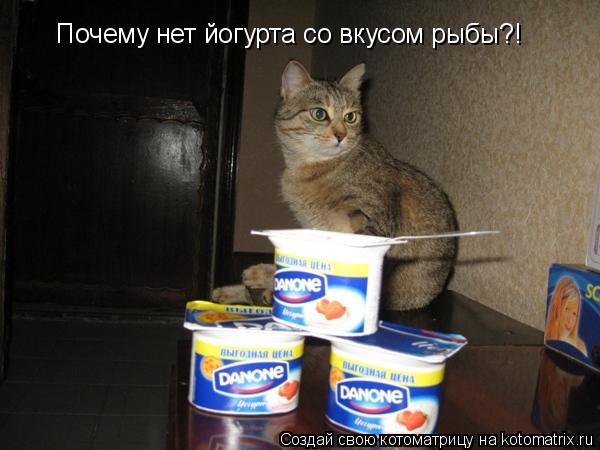 Почему нет йогурта со вкусом рыбы?!... Котоматрица: Почему нет йогурта со вкусом рыбы?!