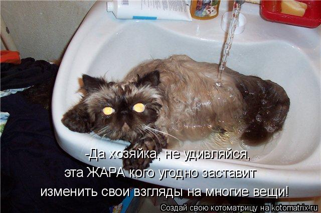 -Да хозяйка, не удивляйся, эта ЖАРА кого угодно заставит изменить свои взгляды на многие вещи!... Котоматрица: -Да хозяйка, не удивляйся, эта ЖАРА кого угодно заставит изменить свои взгляды на многие вещи!