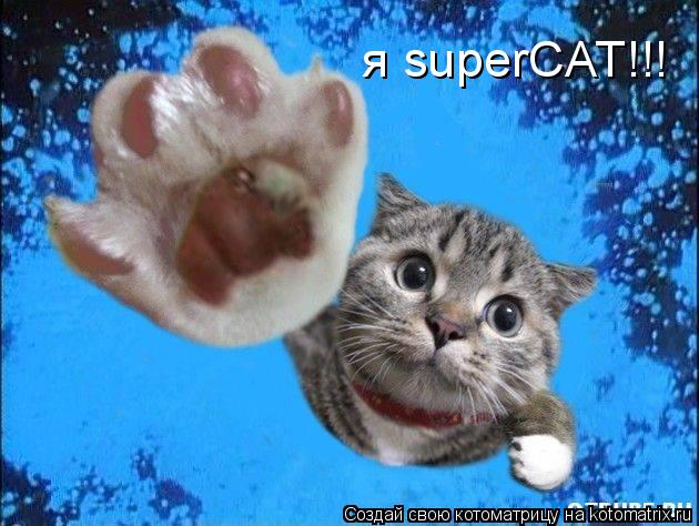 я superCAT!!!... Котоматрица: я superCAT!!!