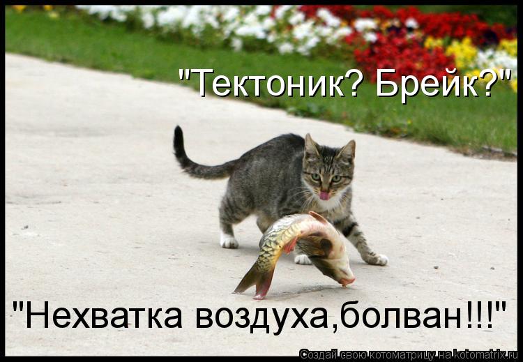 "Тектоник? Брейк?" "Нехватка воздуха,болван!!!"... Котоматрица: "Тектоник? Брейк?" "Нехватка воздуха,болван!!!"