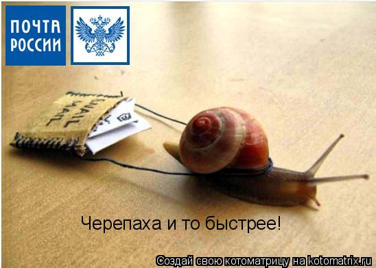 Черепаха и то быстрее!... Котоматрица: Черепаха и то быстрее!